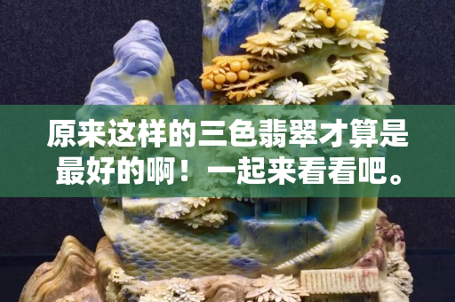 原来这样的三色翡翠才算是最好的啊！一起来看看吧。