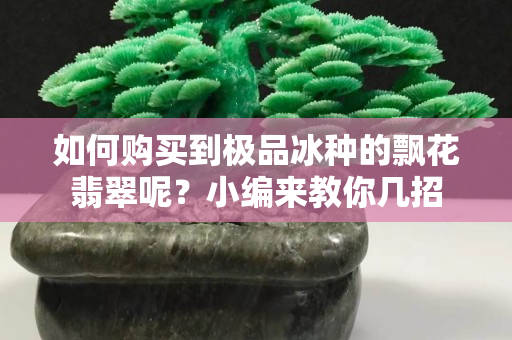 如何购买到极品冰种的飘花翡翠呢？小编来教你几招