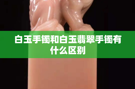 白玉手镯和白玉翡翠手镯有什么区别