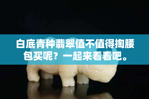 白底青种翡翠值不值得掏腰包买呢？一起来看看吧。
