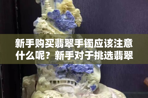 新手购买翡翠手镯应该注意什么呢？新手对于挑选翡翠手镯的关注点