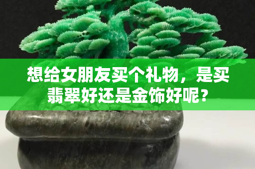 想给女朋友买个礼物，是买翡翠好还是金饰好呢？