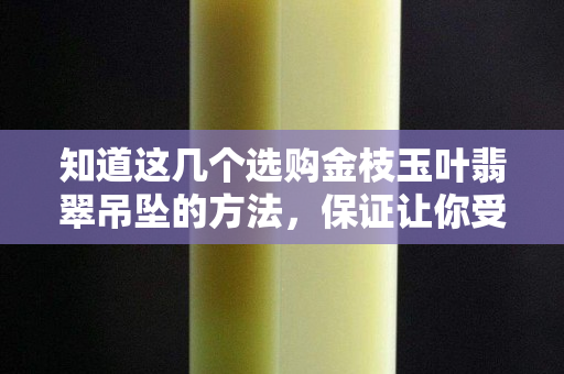 知道这几个选购金枝玉叶翡翠吊坠的方法，保证让你受益匪浅