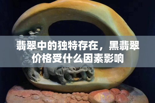 翡翠中的独特存在，黑翡翠价格受什么因素影响