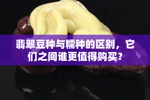 翡翠豆种与糯种的区别，它们之间谁更值得购买？