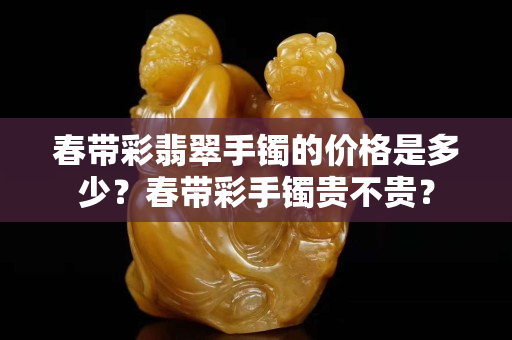 春带彩翡翠手镯的价格是多少？春带彩手镯贵不贵？
