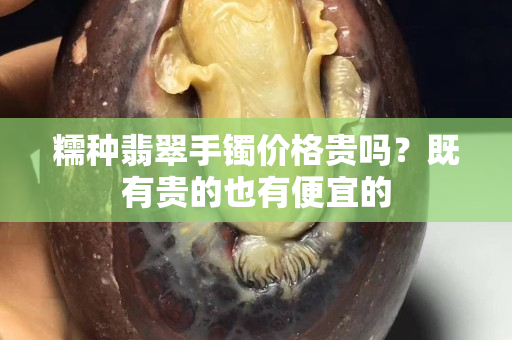 糯种翡翠手镯价格贵吗？既有贵的也有便宜的