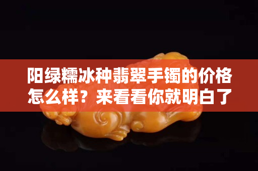 阳绿糯冰种翡翠手镯的价格怎么样？来看看你就明白了