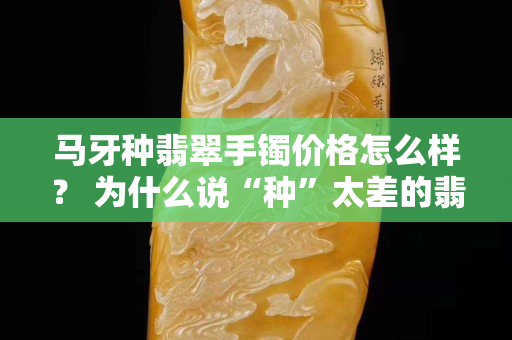 马牙种翡翠手镯价格怎么样？ 为什么说“种”太差的翡翠不值得购买