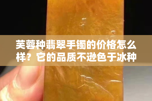 芙蓉种翡翠手镯的价格怎么样？它的品质不逊色于冰种翡翠！
