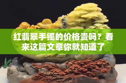 红翡翠手镯的价格贵吗？看来这篇文章你就知道了