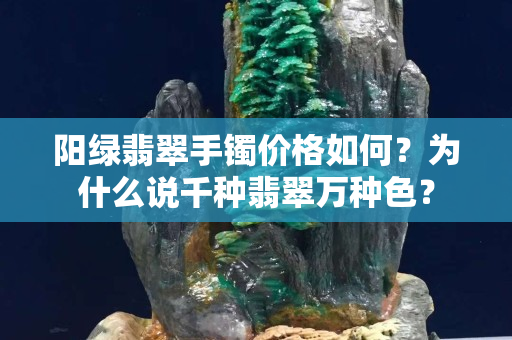 阳绿翡翠手镯价格如何？为什么说千种翡翠万种色？