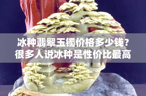 冰种翡翠玉镯价格多少钱？很多人说冰种是性价比最高的翡翠有道理吗？
