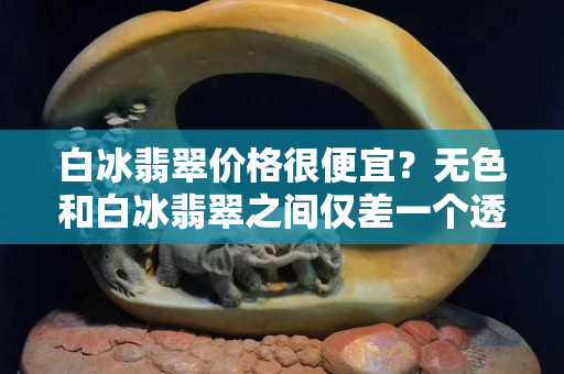 白冰翡翠价格很便宜？无色和白冰翡翠之间仅差一个透明度！