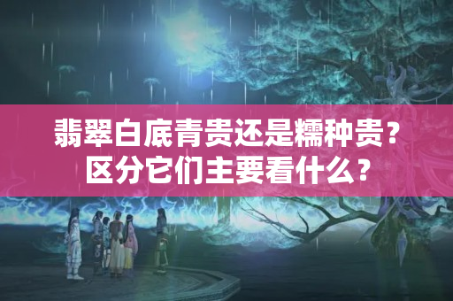 翡翠白底青贵还是糯种贵？区分它们主要看什么？