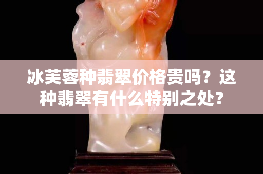 冰芙蓉种翡翠价格贵吗？这种翡翠有什么特别之处？