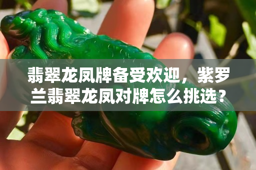 翡翠龙凤牌备受欢迎，紫罗兰翡翠龙凤对牌怎么挑选？