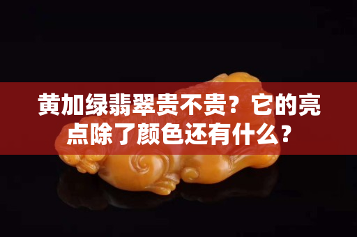 黄加绿翡翠贵不贵？它的亮点除了颜色还有什么？