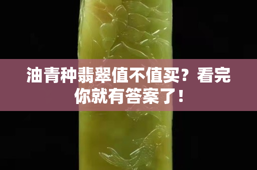 油青种翡翠值不值买？看完你就有答案了！