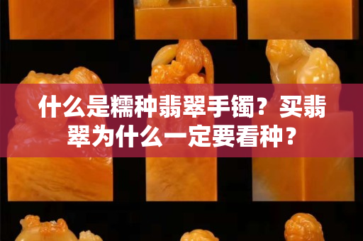 什么是糯种翡翠手镯？买翡翠为什么一定要看种？