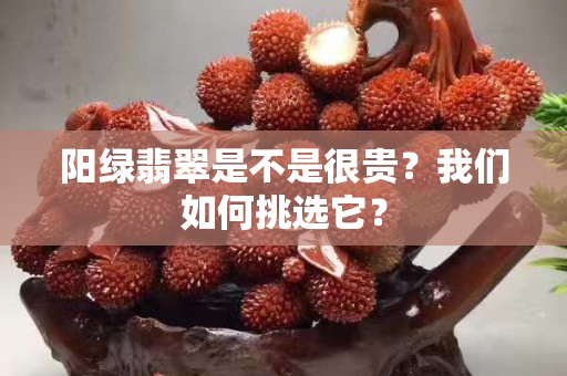 阳绿翡翠是不是很贵？我们如何挑选它？