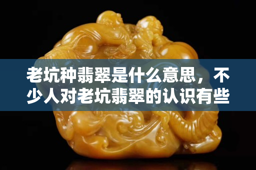 老坑种翡翠是什么意思，不少人对老坑翡翠的认识有些误区