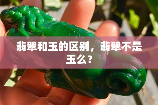 翡翠和玉的区别，翡翠不是玉么？