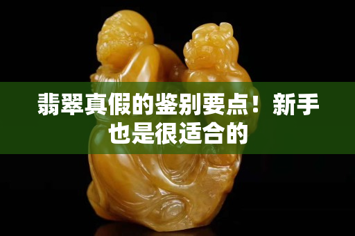 翡翠真假的鉴别要点！新手也是很适合的