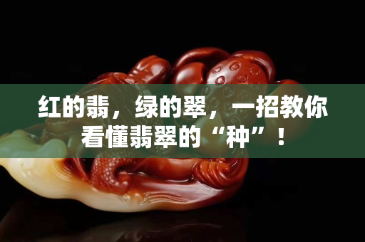 红的翡，绿的翠，一招教你看懂翡翠的“种”！