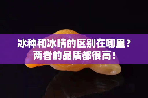 冰种和冰晴的区别在哪里？两者的品质都很高！