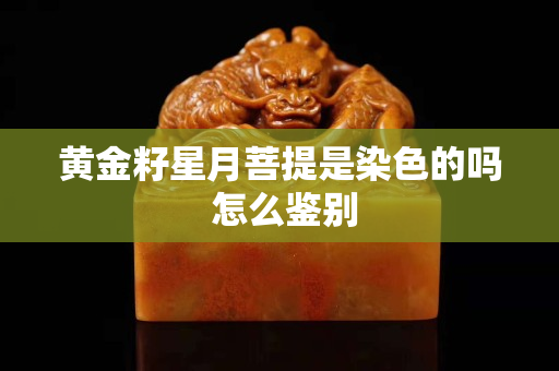 黄金籽星月菩提是染色的吗 怎么鉴别