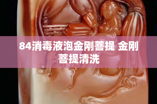 84消毒液泡金刚菩提 金刚菩提清洗