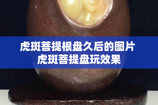 虎斑菩提根盘久后的图片 虎斑菩提盘玩效果
