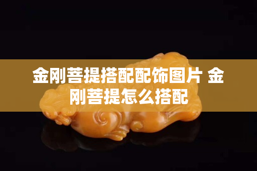 金刚菩提搭配配饰图片 金刚菩提怎么搭配