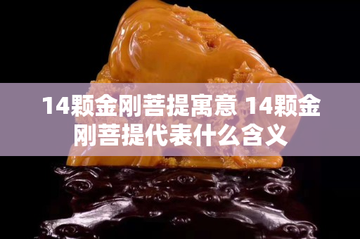 14颗金刚菩提寓意 14颗金刚菩提代表什么含义