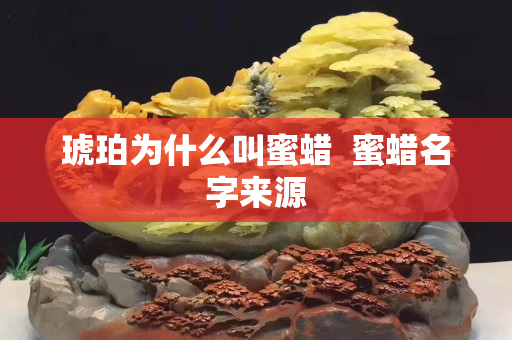 琥珀为什么叫蜜蜡  蜜蜡名字来源