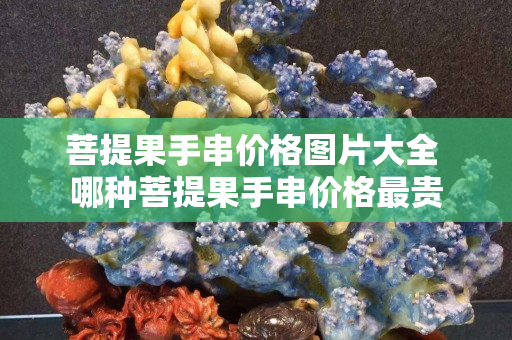 菩提果手串价格图片大全 哪种菩提果手串价格最贵