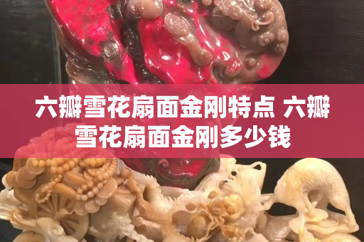 六瓣雪花扇面金刚特点 六瓣雪花扇面金刚多少钱