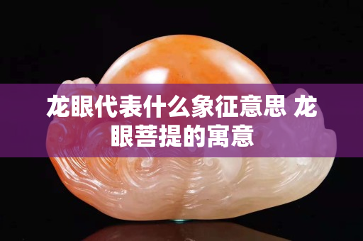龙眼代表什么象征意思 龙眼菩提的寓意