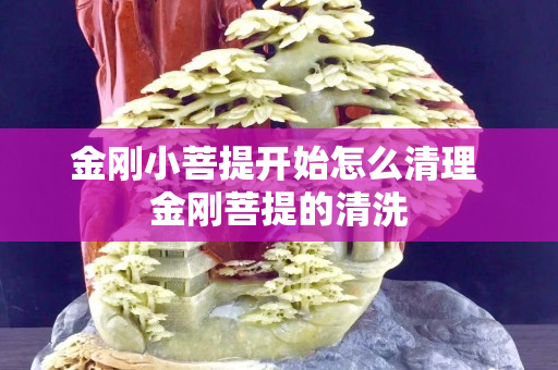 金刚小菩提开始怎么清理 金刚菩提的清洗