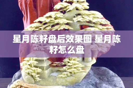 星月陈籽盘后效果图 星月陈籽怎么盘