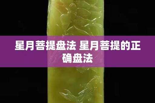 星月菩提盘法 星月菩提的正确盘法