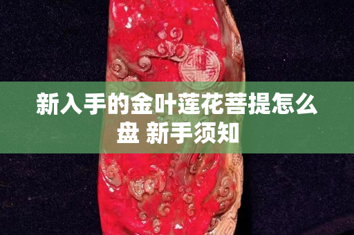 新入手的金叶莲花菩提怎么盘 新手须知