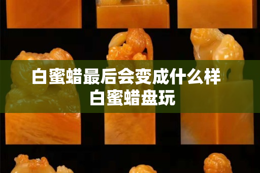 白蜜蜡最后会变成什么样   白蜜蜡盘玩