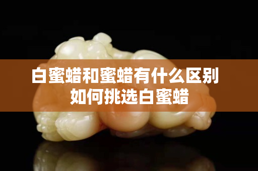 白蜜蜡和蜜蜡有什么区别  如何挑选白蜜蜡