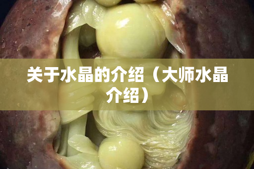 关于水晶的介绍（大师水晶介绍）