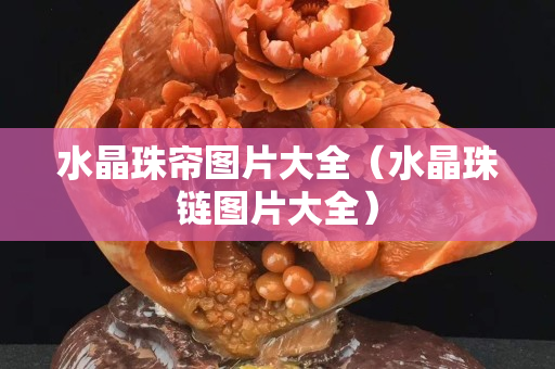 水晶珠帘图片大全（水晶珠链图片大全）