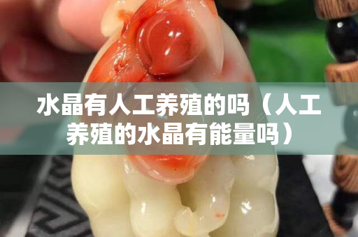 水晶有人工养殖的吗（人工养殖的水晶有能量吗）