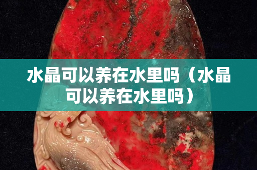 水晶可以养在水里吗（水晶可以养在水里吗）