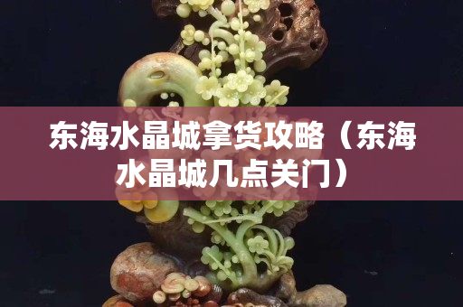 东海水晶城拿货攻略（东海水晶城几点关门）